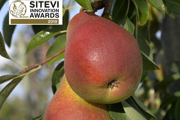 Sitevi CH 201 1