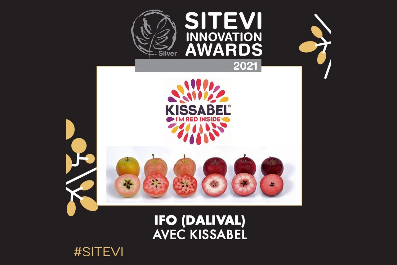 Sitevi Innovation Une