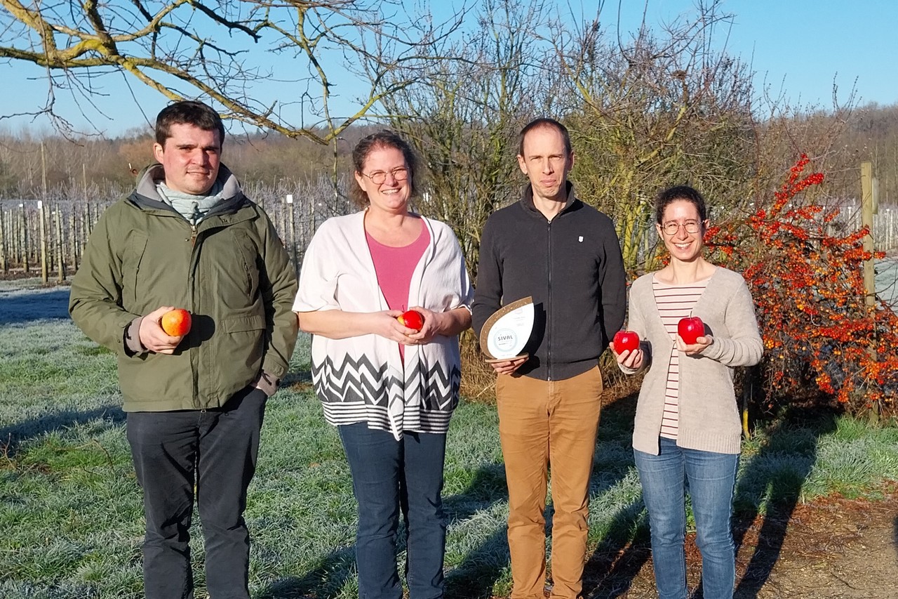 Tonik Sival Innovation Une