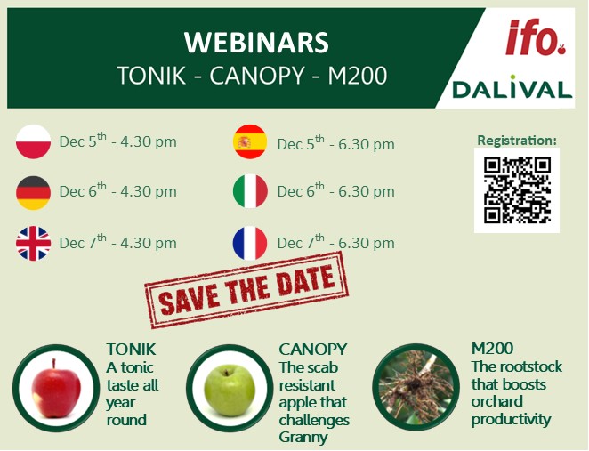 Webinar 2