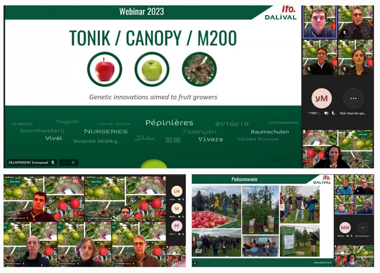 Webinar recap Une 1249x900