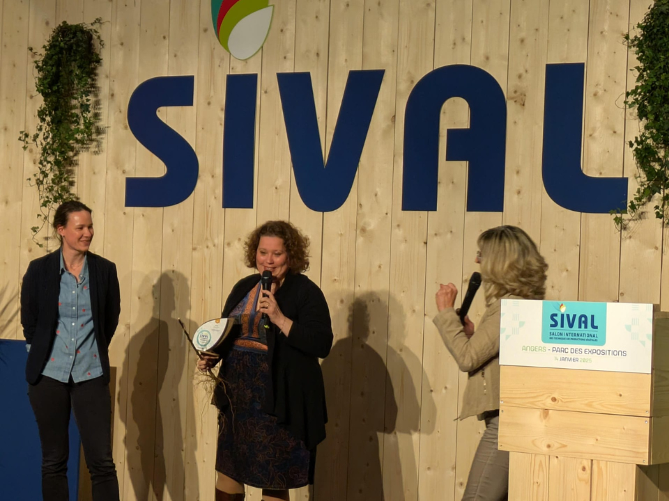 Actu SOLILOQUY SIVAL or 3