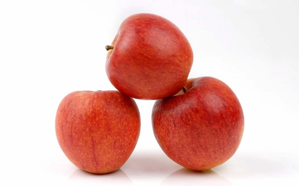 PomR06 copie