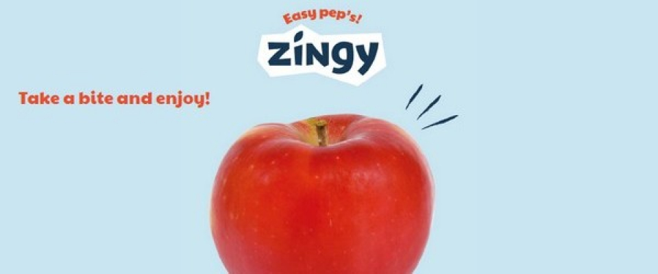 Zingy 2